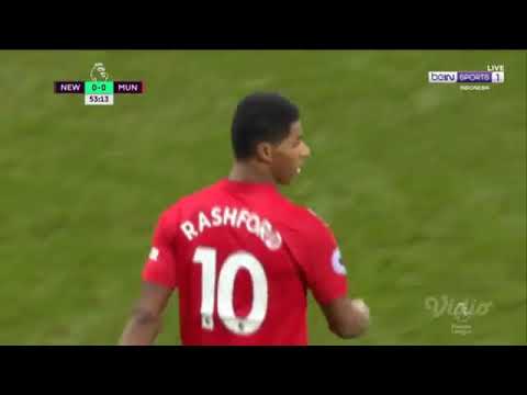 Manchester United vs Newcastle 2-0 Highlights &amp; Goals 02/01/2019