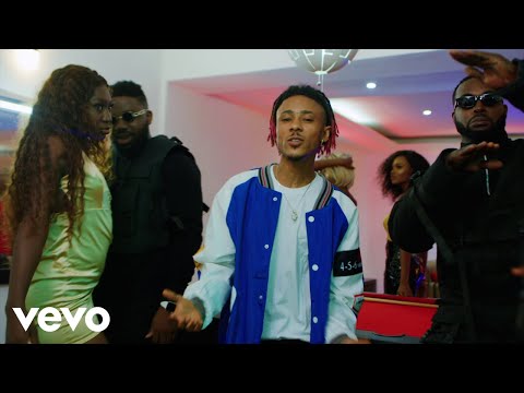 Fawazzy - Normal Level [Official Video] ft. DJ Neptune, Magnito