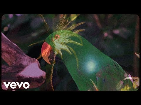 Calvin Harris - New Money (Official Audio) ft 21 Savage
