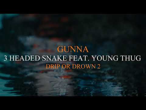 Gunna - 3 Headed Snake Feat. Young Thug [Official Audio]
