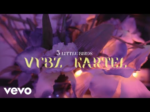 Vybz Kartel - 3 Little Birds (Official Music Video)