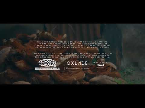 Oxlade - Shugar (Official Video)