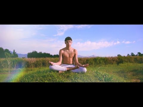 J Molley - Flower Child ( Official Music Video )