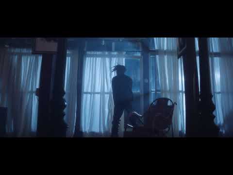 Fireboy DML - Airplane Mode (Official Video)