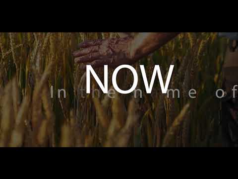 Ada Ehi - Now (Lyric Video)