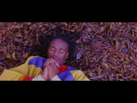 Jah Prayzah - Hokoyo (Official Music Video)