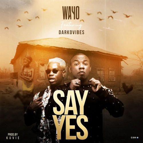 Wayo ft. Darkovibes - Say Yes (Prod. By Kuvie)