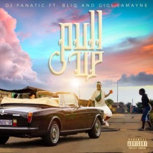 DJ Fanatic ft. Gigi Lamayne & Bliq - Pull Up