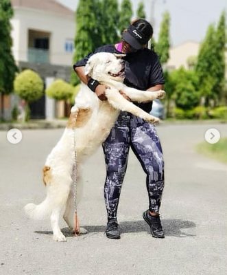 Empress Njamah Pose With Her Hefty St. Bernard Dogs In New Pictures