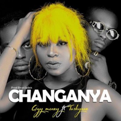 Gigy Money ft. Tushynne - Changanya (Audio + Video)