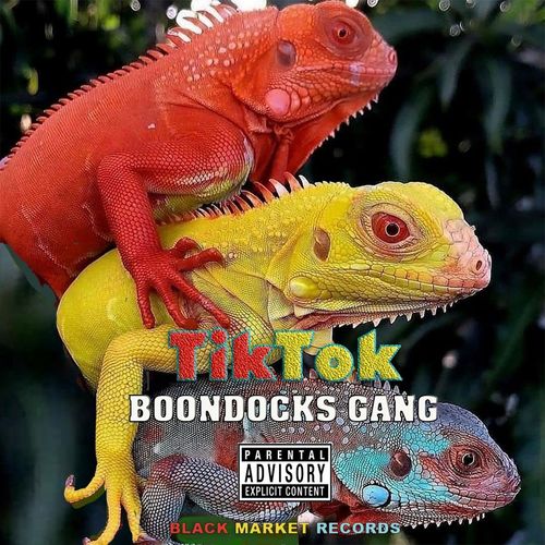 Boondocks Gang - TikTok (Audio + Video) Mp3 Mp4 Download