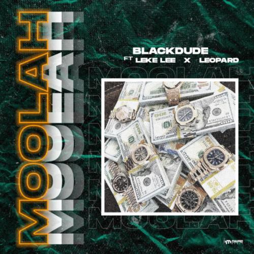 Blackdude - Moolah Ft. Leke Lee, Leopard Mp3 Audio Download
