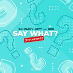 DJ Jimmy Jatt Ft. CDQ – Say What? (PetePete)