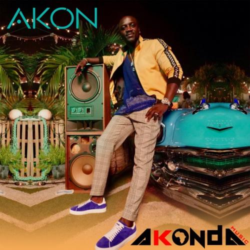 Akon - Pretty Girls Ft. Afro B Mp3 Audio Download