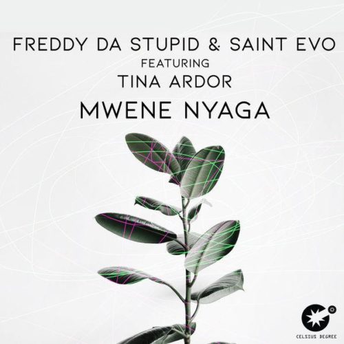 Freddy Da Stupid Ft. Saint Evo & Tina Ardor - Mwene Nyaga (Original Mix) Mp3 Audio Download