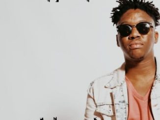 Hume Da Muzika & Mr Style - Festive Song Ft. Riky Rick, Mr Thela, uBiza Wethu, Taboo No Sliiso Mp3 Download