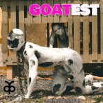 AY Poyoo – Goatest [Audio / Video]
