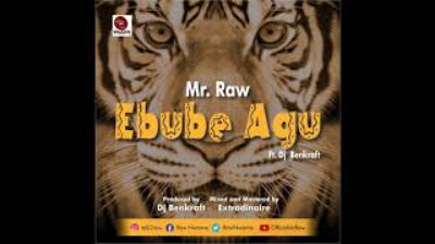 Mr Raw - Ebube Agu