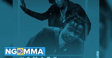 Willy Paul Ft. Juliani - Nomare