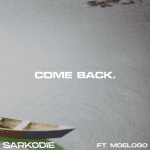 Lyrics Of “Come Back” by Sarkodie Ft Moelogo
