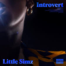 Little Simz - Introvert