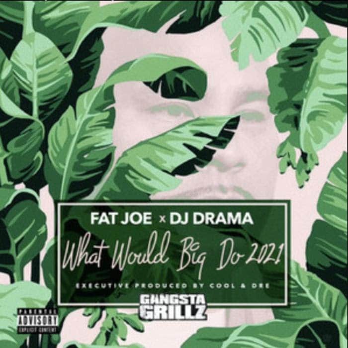 Fat Joe & DJ Drama - What Would Big Do 2021 Album Download