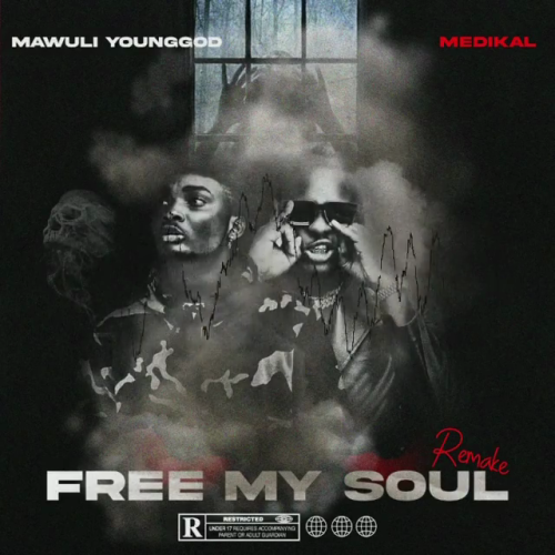 Mawuli Younggod - Free My Soul (Remix) Ft. Medikal