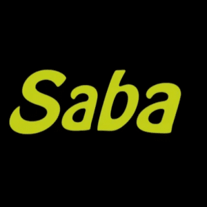 Beenie Gunter Ft. Big Trill - Saba Mp3 Audio Download