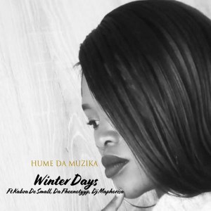 Hume Da Muzika Ft. Kabza De Small, DJ Maphorisa & Da Fheenotyyp - Winter Days Mp3 Audio Download