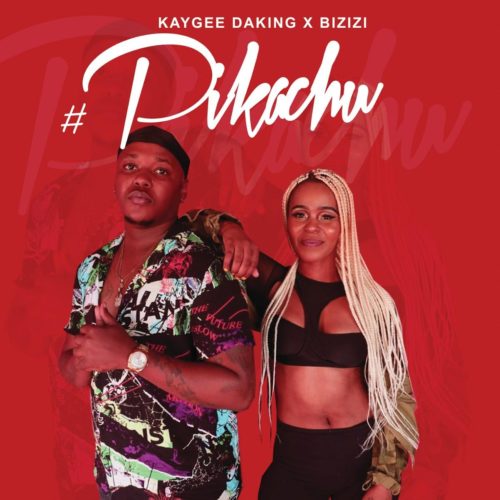 Kaygee DaKing & Bizizi - Kwasuka Lokho [EP]