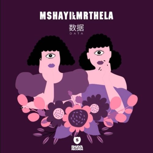 Mshayi & Mr Thela - Data