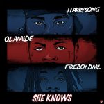 Harrysong – She Knows Ft. Fireboy DML, Olamide