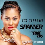 Itz Tiffany Ft. Major League Djz, Shaker – Chop Life