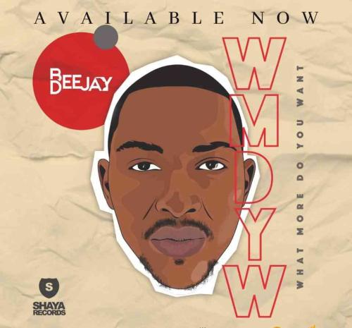Bee Deejay - What More Do You Want Ft. Mshayi, Mr Thela