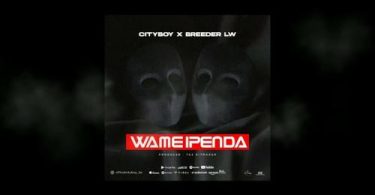 CityBoy - Wameipenda Ft. Breeder Lw