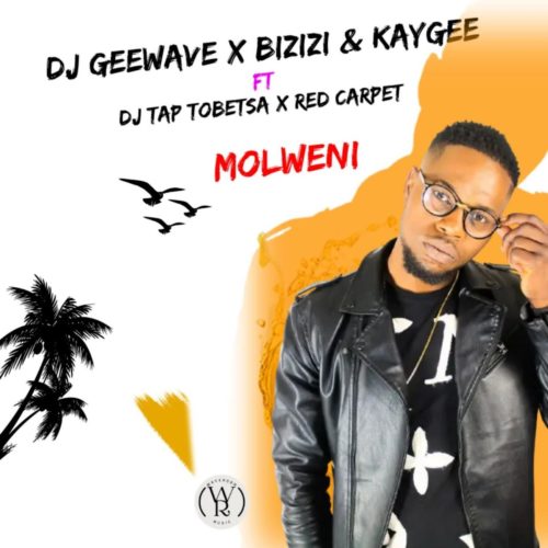 DJ Geewave, Bizizi & KayGee - Molweni Ft. DJ Tap Tobetsa, Red Carpet