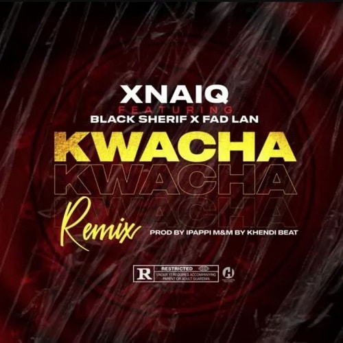 Xnaiq Ft. Black Sherif & Fad Lan - Kwacha (Remix)