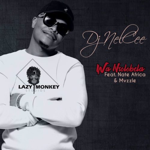 DJ NelCee - Wan'tolobela Ft. Nate Africa, Mvzzle