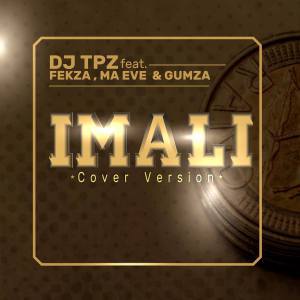 DJ TPZ Ft. Fekza, Ma Eve & Gumza - Imali Cover Version