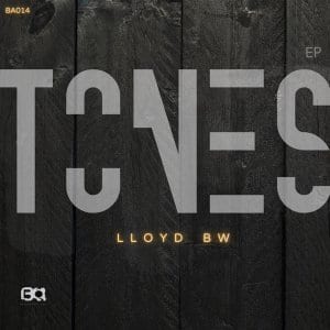 Lloyd BW - Make You My Queen (Original Mix)