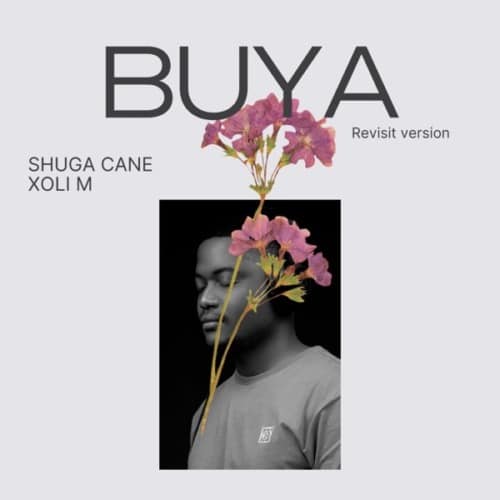 Shuga Cane - Buya