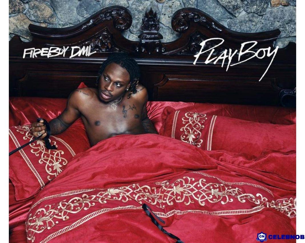 Reactions As Fireboy DML Releases New Album "Playboy"