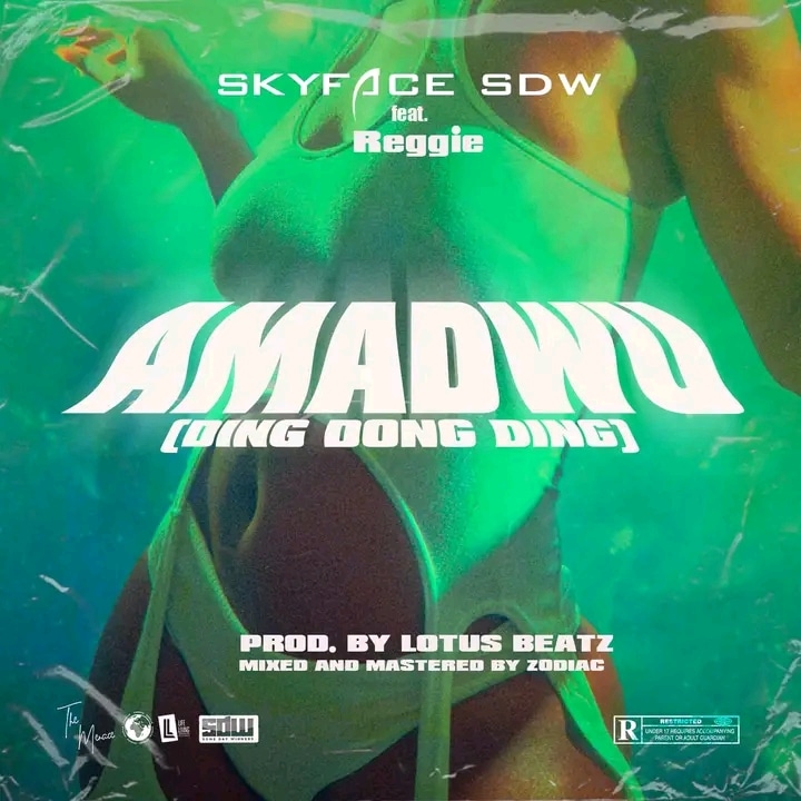 Skyface SDW - Amadwo (Ding Dong Ding) Ft. Reggie