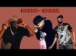 2woShort x DJ Maphorisa - Nanini Nanini Ft Felo Le Tee