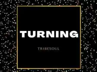TribeSoul - Turning