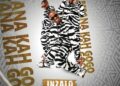 Mfana Kah Gogo – Wanna Party ft Major League, S'tokzin Da Djay, Dj 787, Fezeka Dlamini & Big John