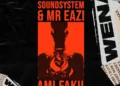 Mr Eazi – Wena Ft. Ami Faku