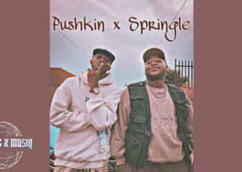 Pushkin x Springle – Makhi (Original Mix)