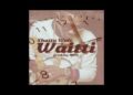 Shatta Wale – Waitti