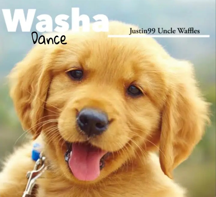 Justin99 & Uncle Waffles – Washa Dance